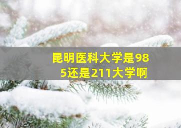 昆明医科大学是985还是211大学啊