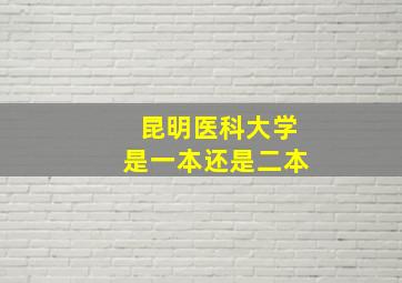 昆明医科大学是一本还是二本