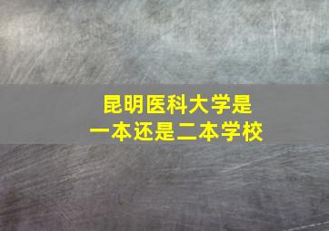 昆明医科大学是一本还是二本学校