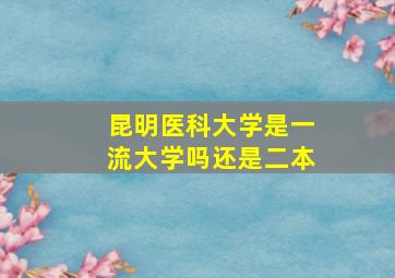 昆明医科大学是一流大学吗还是二本