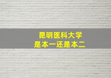 昆明医科大学是本一还是本二