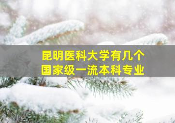 昆明医科大学有几个国家级一流本科专业