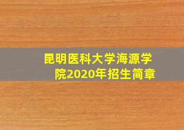 昆明医科大学海源学院2020年招生简章