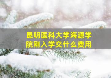 昆明医科大学海源学院刚入学交什么费用