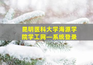 昆明医科大学海源学院学工网―系统登录