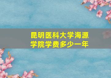 昆明医科大学海源学院学费多少一年