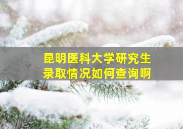 昆明医科大学研究生录取情况如何查询啊