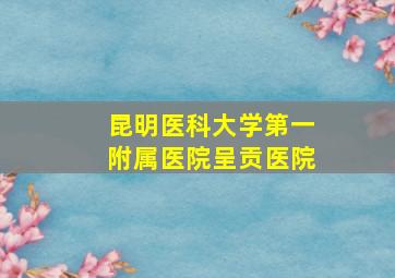 昆明医科大学第一附属医院呈贡医院