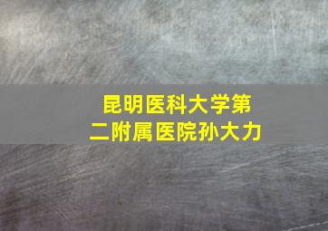 昆明医科大学第二附属医院孙大力