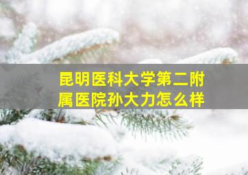 昆明医科大学第二附属医院孙大力怎么样