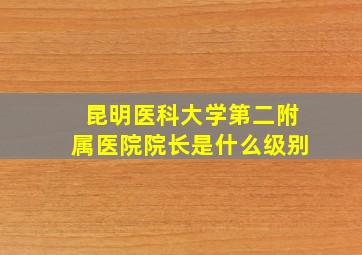 昆明医科大学第二附属医院院长是什么级别