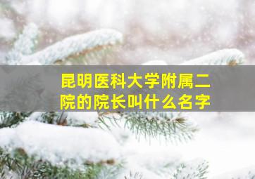 昆明医科大学附属二院的院长叫什么名字