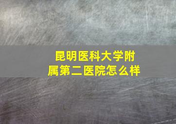 昆明医科大学附属第二医院怎么样