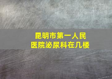 昆明市第一人民医院泌尿科在几楼