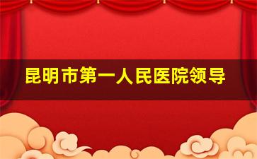 昆明市第一人民医院领导