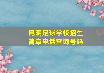 昆明足球学校招生简章电话查询号码