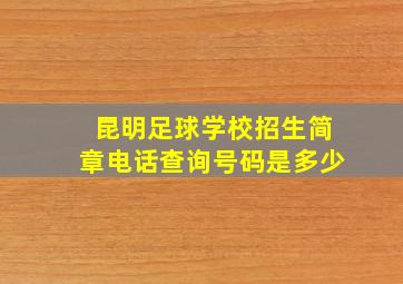 昆明足球学校招生简章电话查询号码是多少