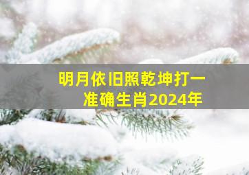 明月依旧照乾坤打一准确生肖2024年