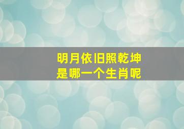 明月依旧照乾坤是哪一个生肖呢