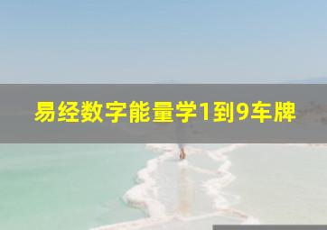 易经数字能量学1到9车牌