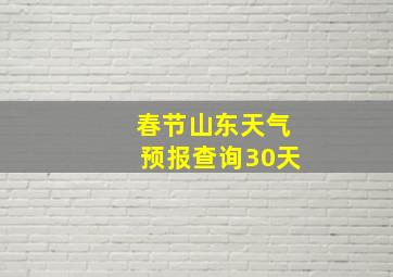 春节山东天气预报查询30天