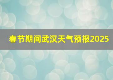 春节期间武汉天气预报2025