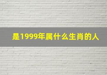 是1999年属什么生肖的人