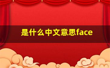 是什么中文意思face