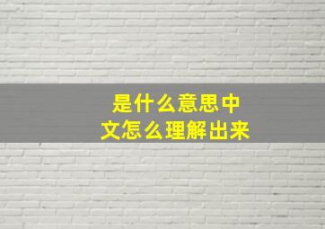 是什么意思中文怎么理解出来