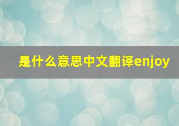 是什么意思中文翻译enjoy