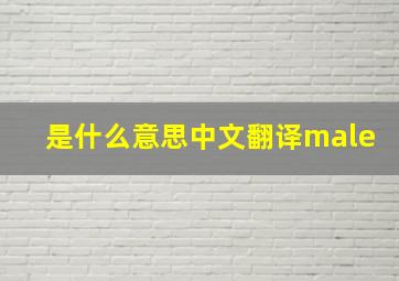 是什么意思中文翻译male