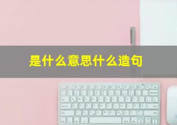 是什么意思什么造句