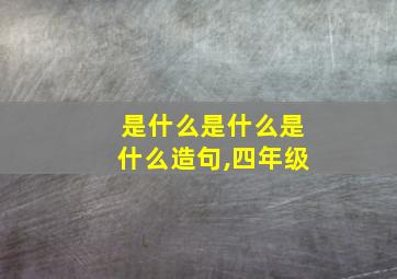 是什么是什么是什么造句,四年级