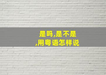 是吗,是不是,用粤语怎样说