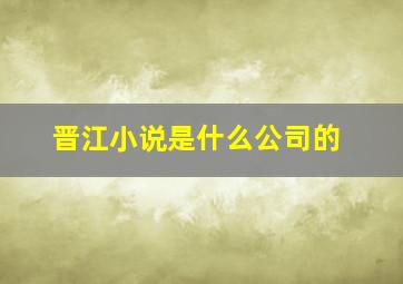 晋江小说是什么公司的