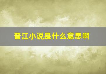 晋江小说是什么意思啊