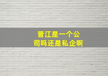 晋江是一个公司吗还是私企啊