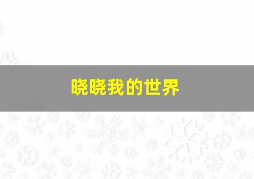 晓晓我的世界