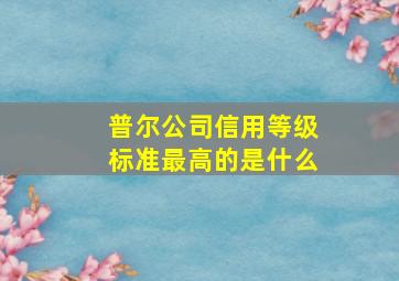 普尔公司信用等级标准最高的是什么