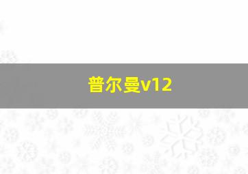 普尔曼v12