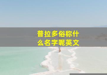 普拉多俗称什么名字呢英文