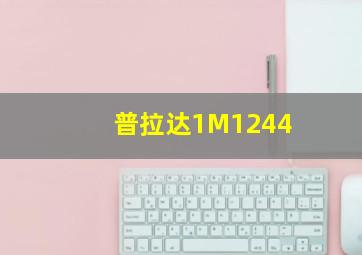 普拉达1M1244