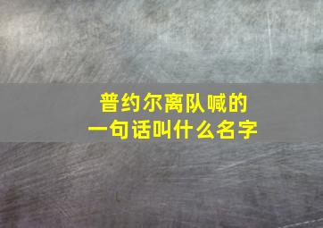 普约尔离队喊的一句话叫什么名字