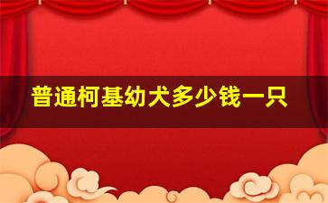 普通柯基幼犬多少钱一只