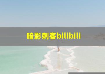 暗影刺客bilibili