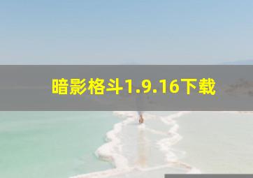 暗影格斗1.9.16下载