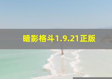 暗影格斗1.9.21正版