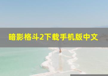 暗影格斗2下载手机版中文