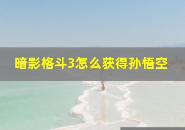 暗影格斗3怎么获得孙悟空