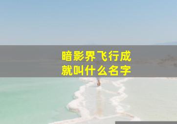 暗影界飞行成就叫什么名字